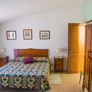 B&B Cactus